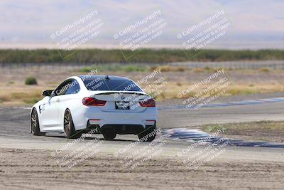 media/Oct-04-2025-OnGrid (Sat) [[44bd565ffa]]/Green Group/Grapevine/